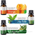 wholesale private label aromatherapy organic essential oil set